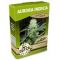 Aurora Indica Aurora Indica