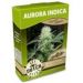Aurora Indica