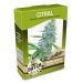 Citral
