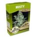 Misty