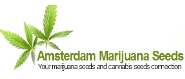 Amsterdamconnection