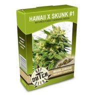 Hawaii x Skunk #1