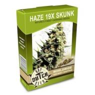 Haze 19 x Skunk